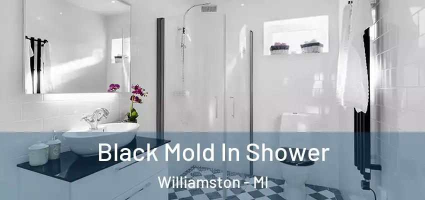  Black Mold In Shower Williamston - MI