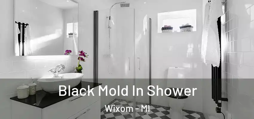  Black Mold In Shower Wixom - MI