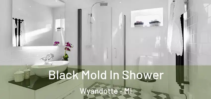  Black Mold In Shower Wyandotte - MI