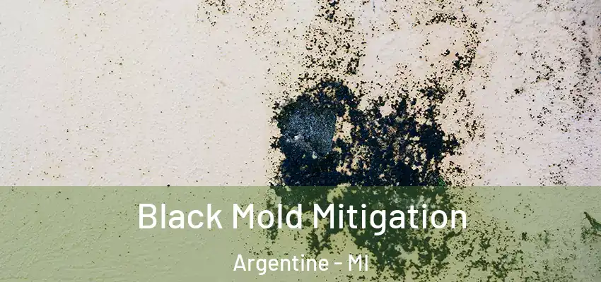  Black Mold Mitigation Argentine - MI