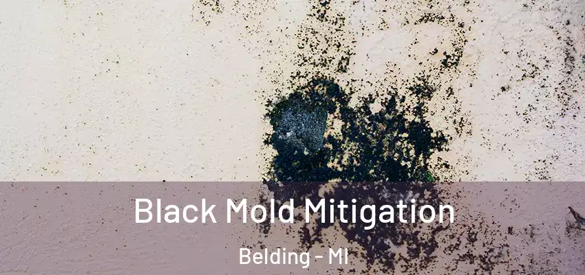  Black Mold Mitigation Belding - MI