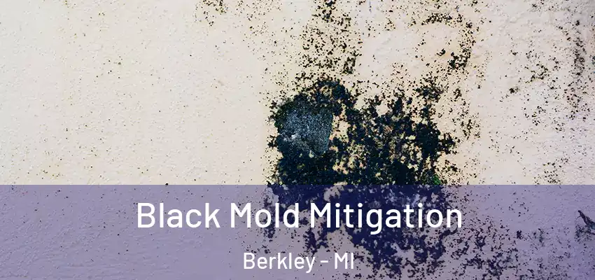  Black Mold Mitigation Berkley - MI