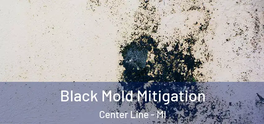  Black Mold Mitigation Center Line - MI