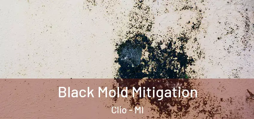 Black Mold Mitigation Clio - MI