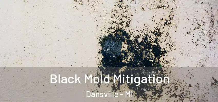  Black Mold Mitigation Dansville - MI