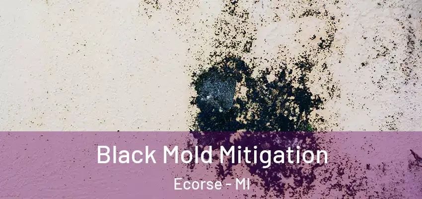  Black Mold Mitigation Ecorse - MI