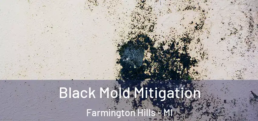 Black Mold Mitigation Farmington Hills - MI