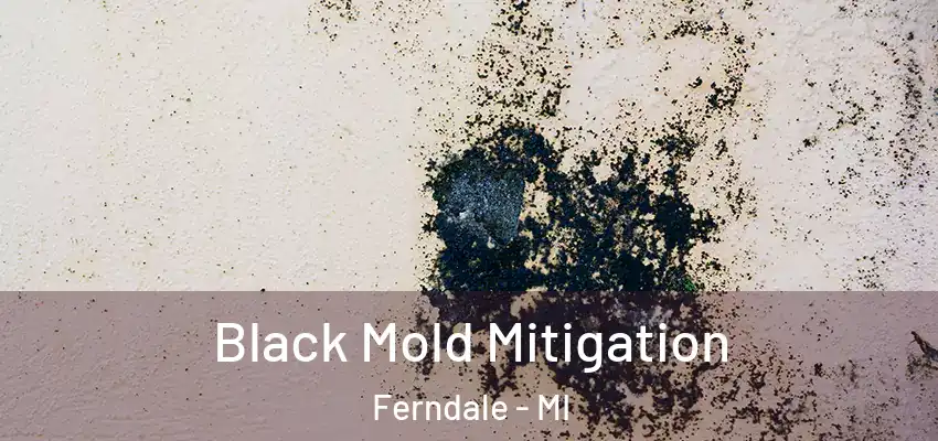  Black Mold Mitigation Ferndale - MI