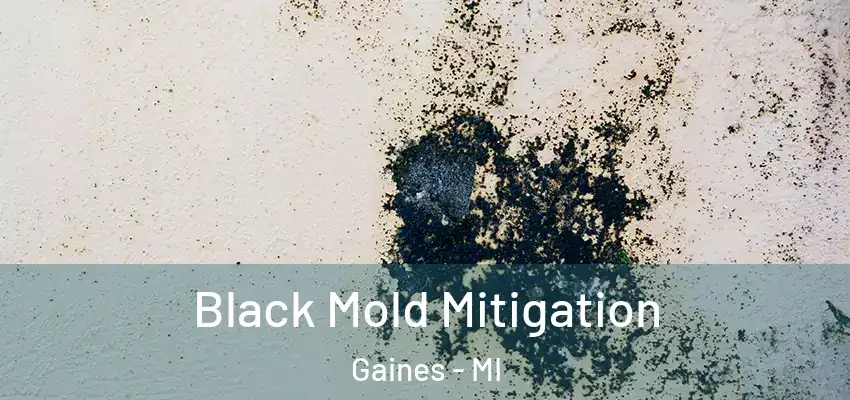  Black Mold Mitigation Gaines - MI