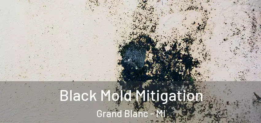  Black Mold Mitigation Grand Blanc - MI