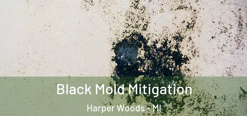  Black Mold Mitigation Harper Woods - MI