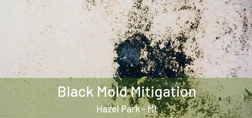  Black Mold Mitigation Hazel Park - MI