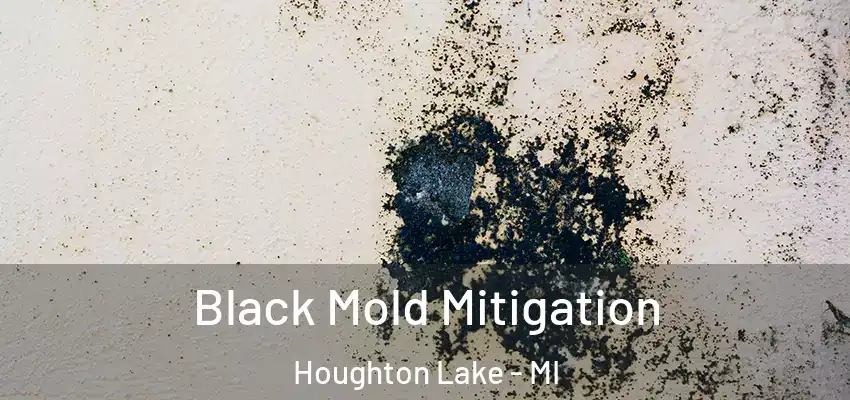 Black Mold Mitigation Houghton Lake - MI