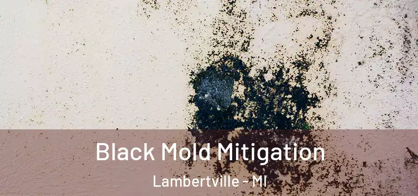  Black Mold Mitigation Lambertville - MI