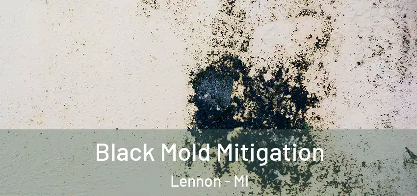  Black Mold Mitigation Lennon - MI