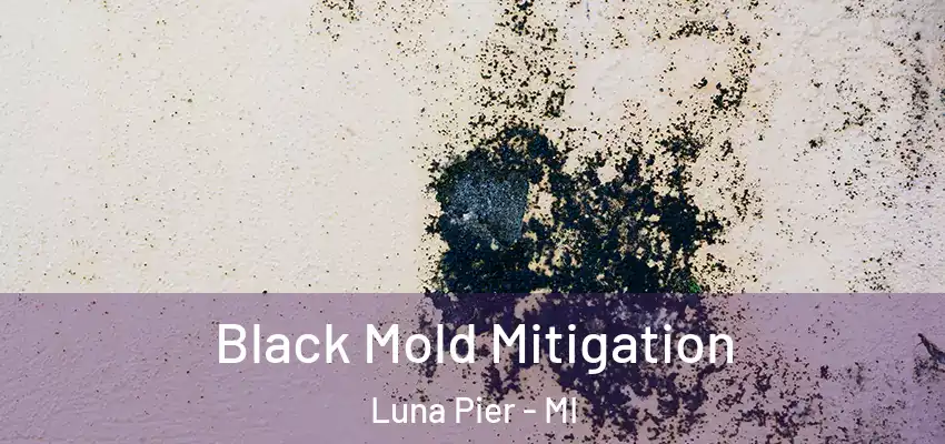  Black Mold Mitigation Luna Pier - MI