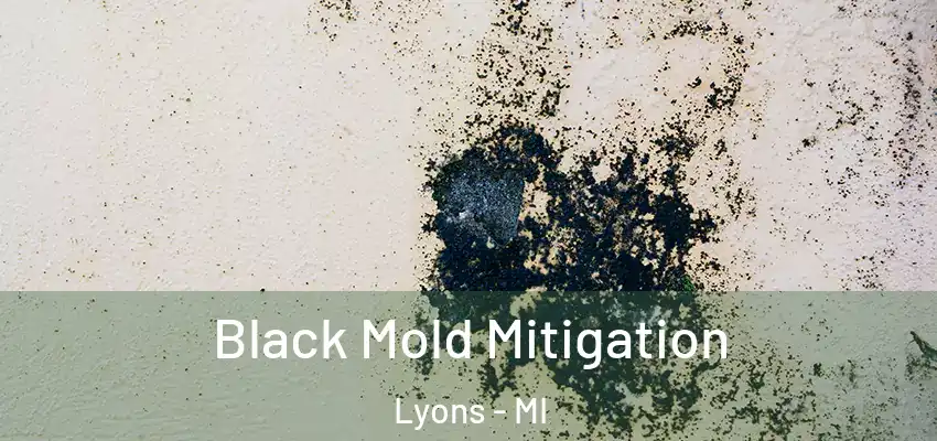 Black Mold Mitigation Lyons - MI