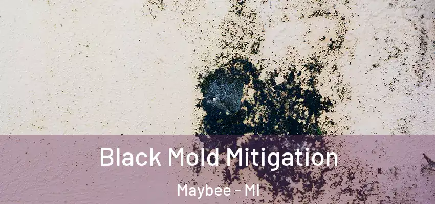  Black Mold Mitigation Maybee - MI