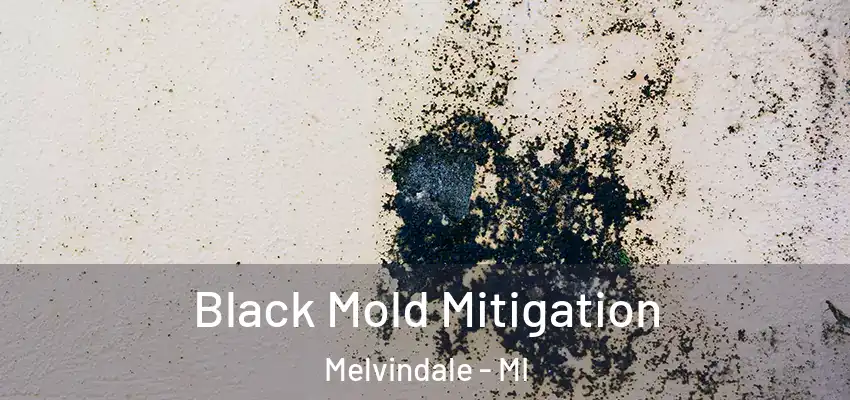 Black Mold Mitigation Melvindale - MI