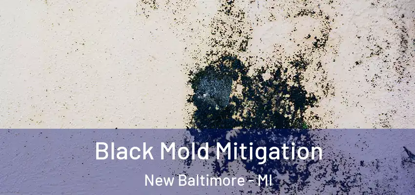  Black Mold Mitigation New Baltimore - MI
