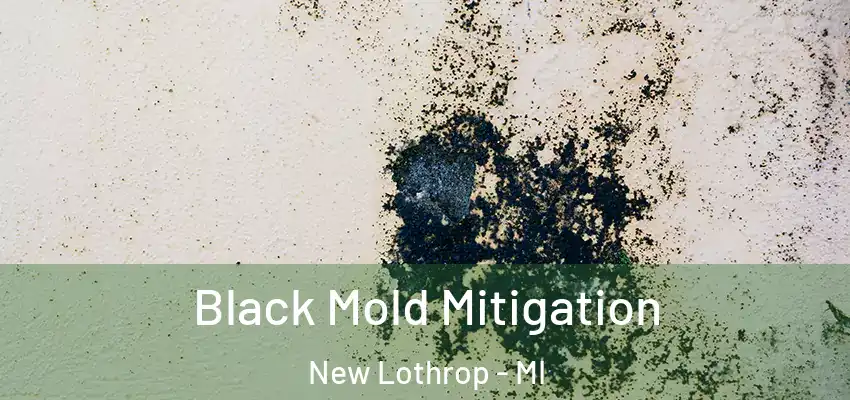  Black Mold Mitigation New Lothrop - MI