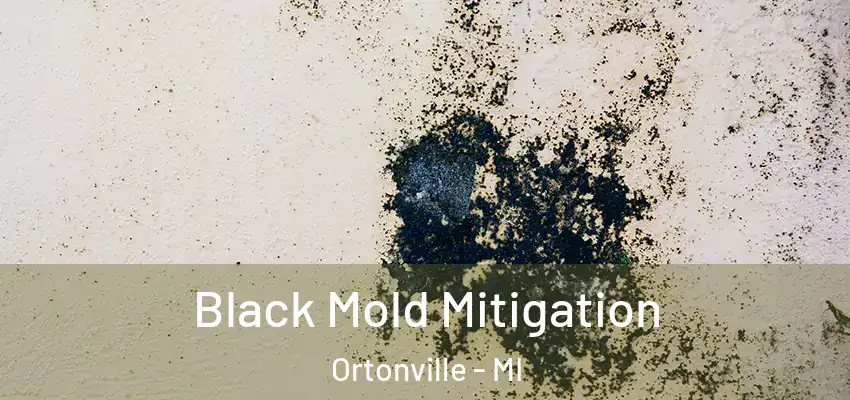  Black Mold Mitigation Ortonville - MI