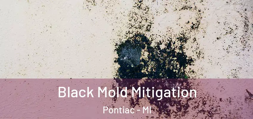  Black Mold Mitigation Pontiac - MI
