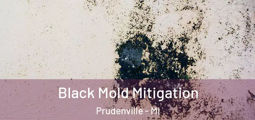  Black Mold Mitigation Prudenville - MI