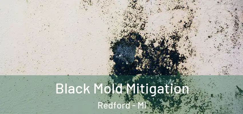  Black Mold Mitigation Redford - MI