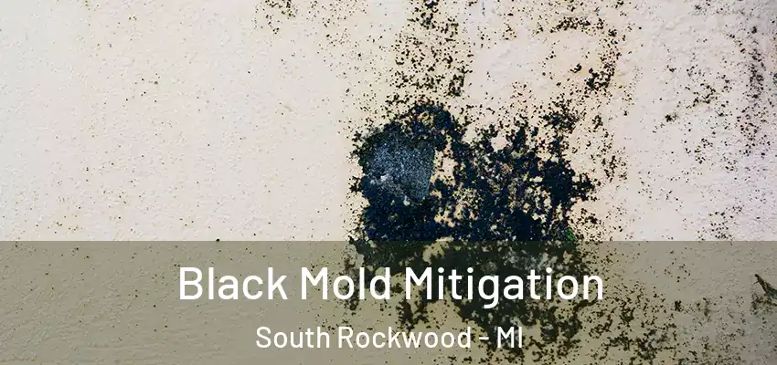  Black Mold Mitigation South Rockwood - MI