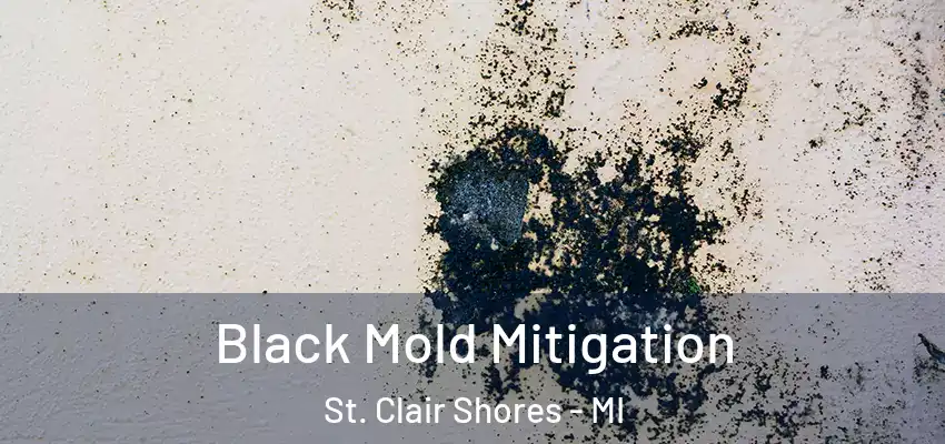  Black Mold Mitigation St. Clair Shores - MI
