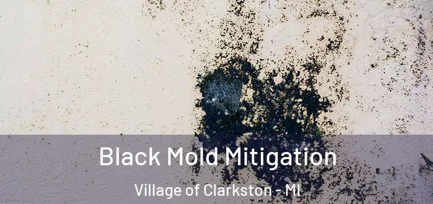 Black Mold Mitigation Village of Clarkston - MI