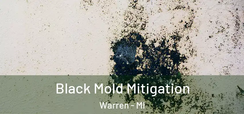 Black Mold Mitigation Warren - MI