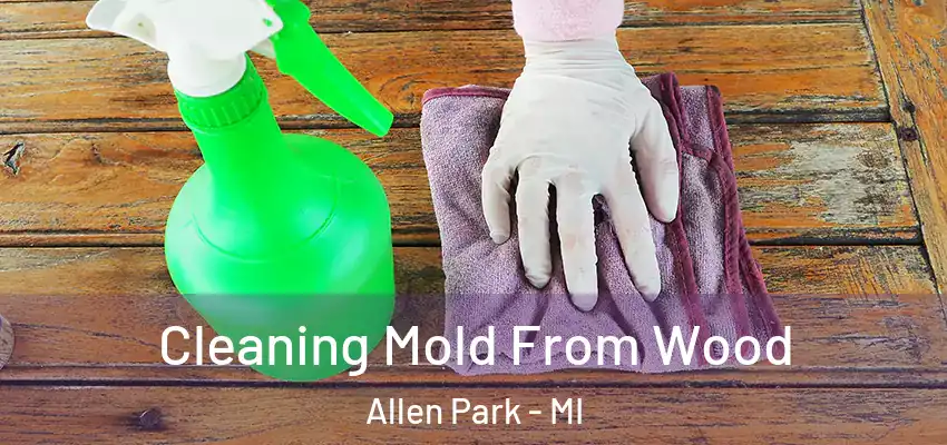  Cleaning Mold From Wood Allen Park - MI