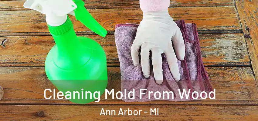  Cleaning Mold From Wood Ann Arbor - MI