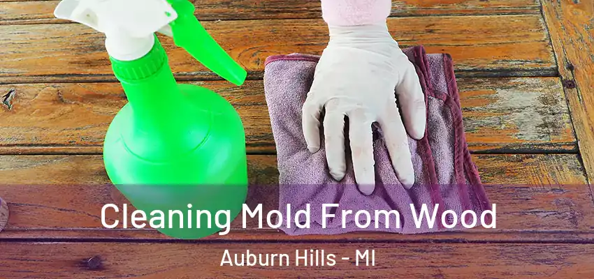  Cleaning Mold From Wood Auburn Hills - MI