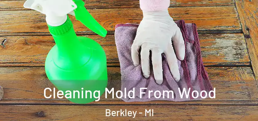 Cleaning Mold From Wood Berkley - MI