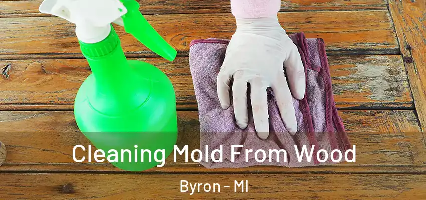  Cleaning Mold From Wood Byron - MI