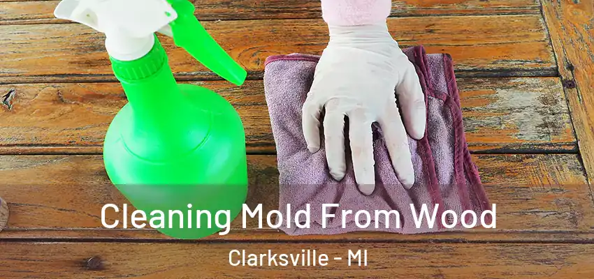  Cleaning Mold From Wood Clarksville - MI