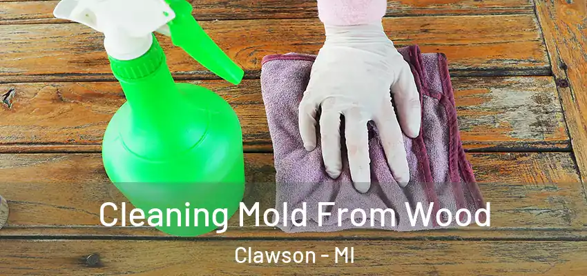  Cleaning Mold From Wood Clawson - MI