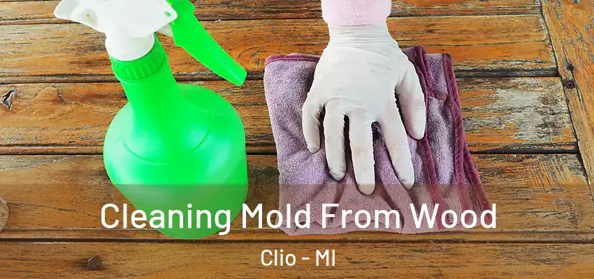  Cleaning Mold From Wood Clio - MI