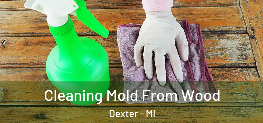  Cleaning Mold From Wood Dexter - MI