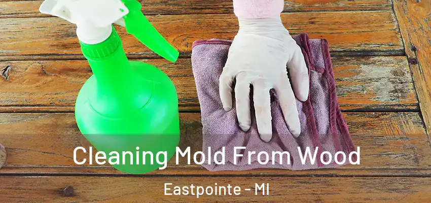  Cleaning Mold From Wood Eastpointe - MI