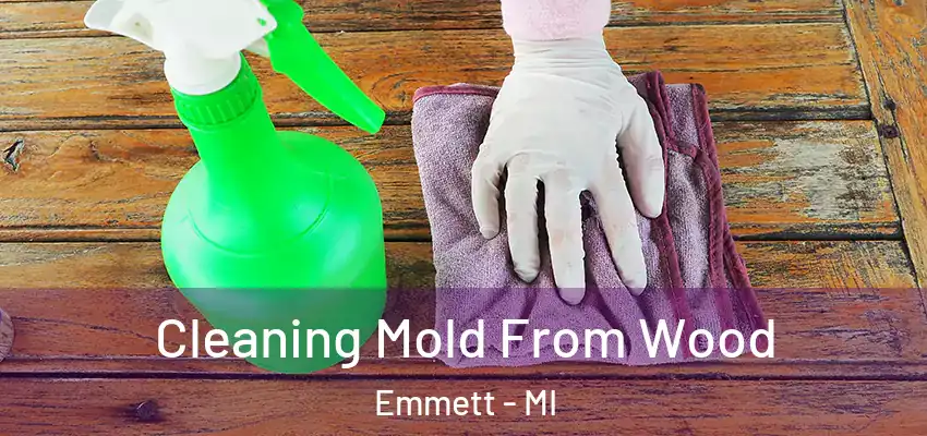 Cleaning Mold From Wood Emmett - MI