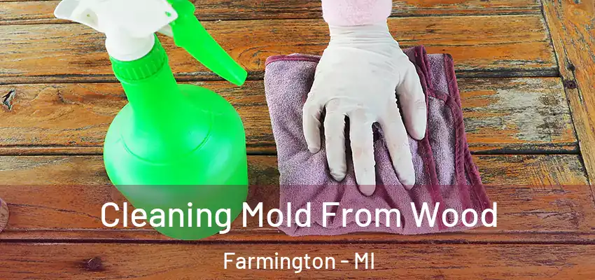 Cleaning Mold From Wood Farmington - MI