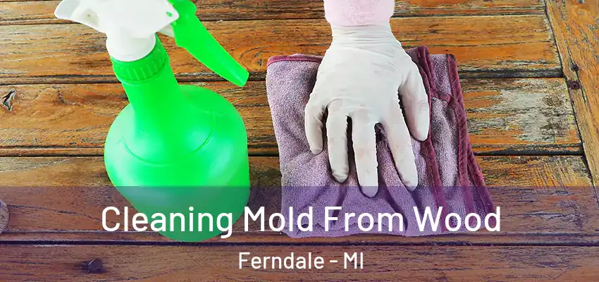  Cleaning Mold From Wood Ferndale - MI