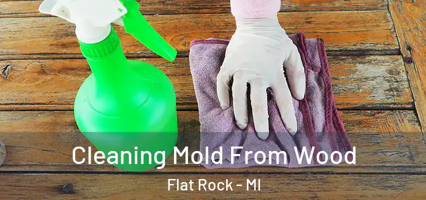  Cleaning Mold From Wood Flat Rock - MI