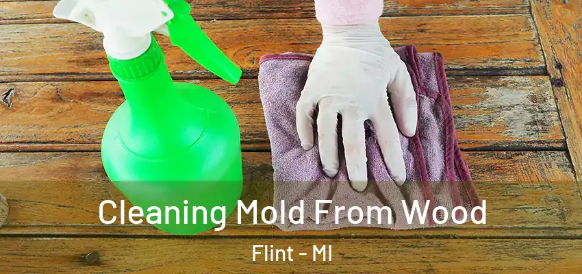  Cleaning Mold From Wood Flint - MI