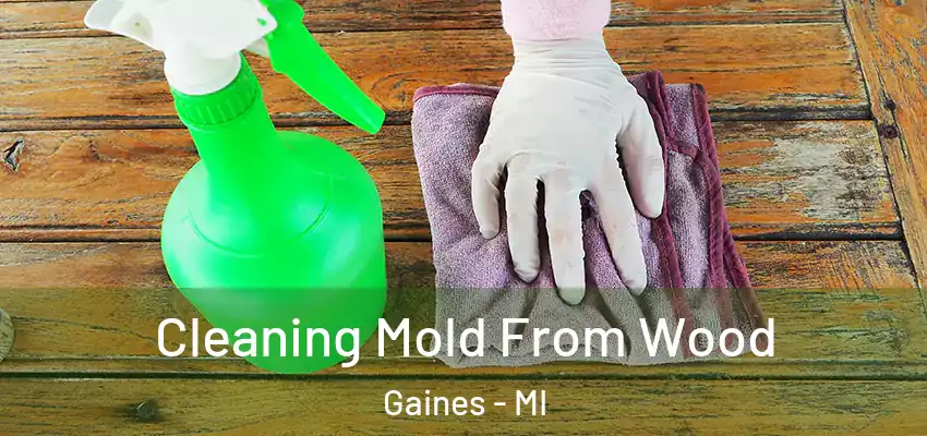 Cleaning Mold From Wood Gaines - MI