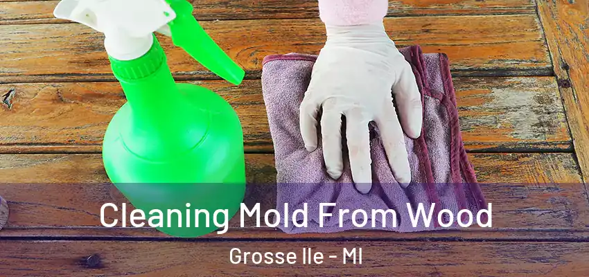Cleaning Mold From Wood Grosse Ile - MI